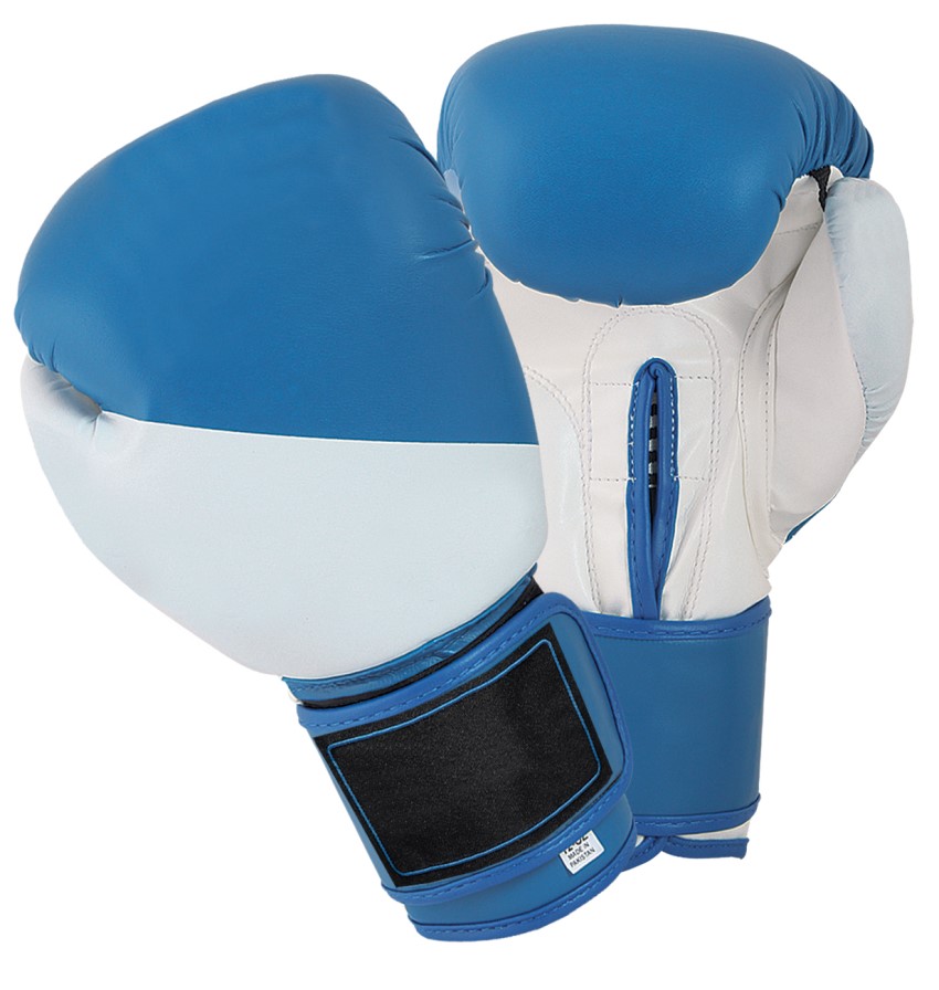 3004 Professional Boxing Gloves - Image 1