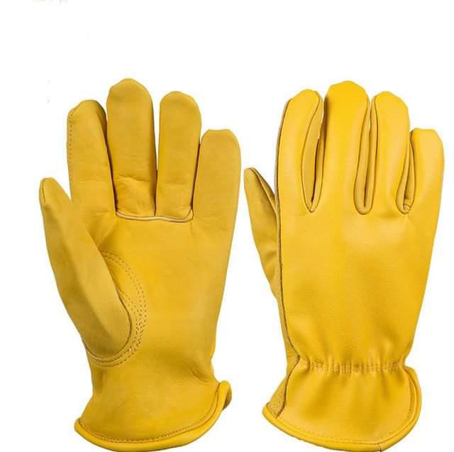 WhatsApp Image 2026-01-20 at 10.47.16 PM Work Wear - Image 1